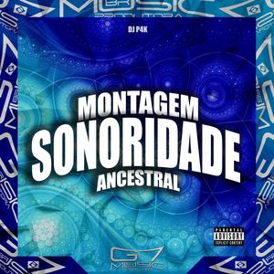 Montagem Sonoridade Ancestral (Explicit)