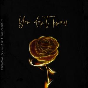 YOU DON'T KNOW (feat. Curtiz IV)