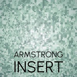 Armstrong Insert