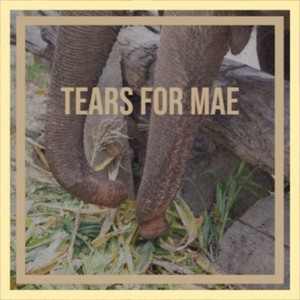 Tears for Mae