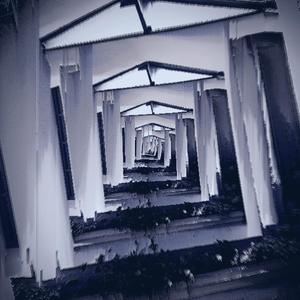 BACK TO THE BEGINNING