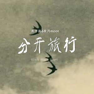 分开旅行 (Black Black Heart)
