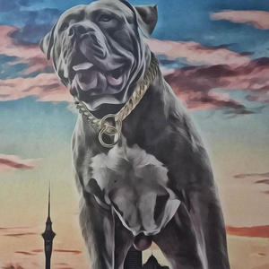 You like that (feat. Sir.T) (Explicit)