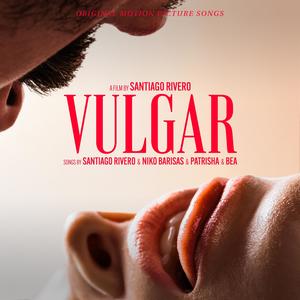 Vulgar (feat. Patrisha) [Radio Edit]