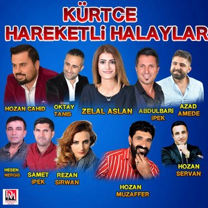 Kürtçe Hareketli Halaylar