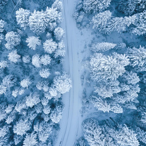 FREEZING ICE COULD (Explicit)