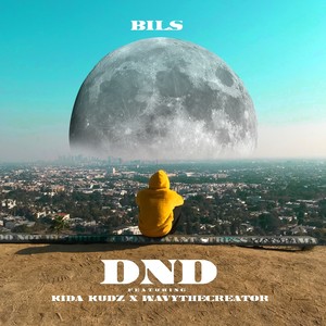 DND (feat. Kida Kudz & WavyTheCreator)