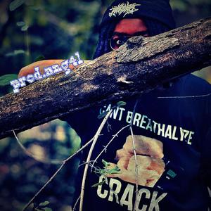 crack (feat. lil ribbit) (Explicit)