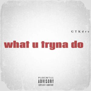 What u tryna do (Explicit)