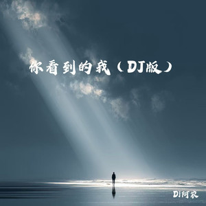 你看到的我封面