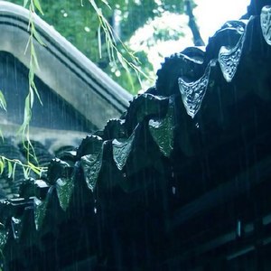 谷雨 (Demo)
