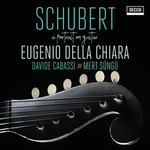Arpeggione Sonata in A Minor, D. 821 - I. Allegro moderato