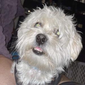 Cold Night (Explicit)