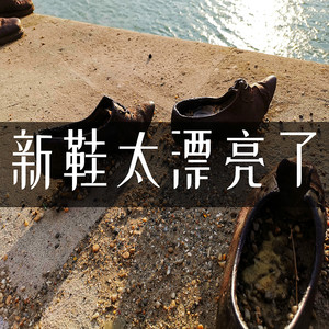 新鞋太漂亮了封面