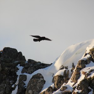 Brunnin er mín borg