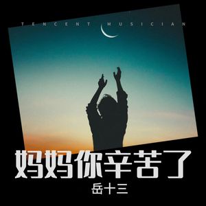 妈妈你辛苦了