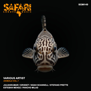 I like it (Original Mix)