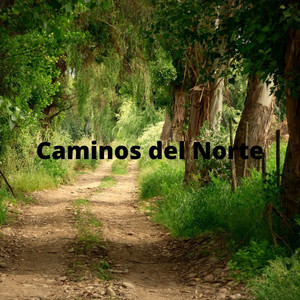 Caminos del Norte