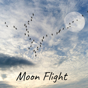 Moon Flight