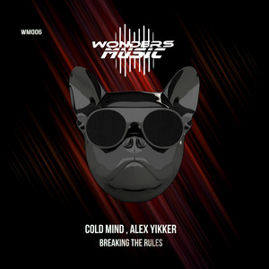 Breaking the Rules (Extended Mix)