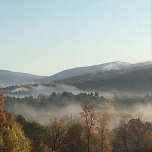 Dewey's Beat[feat. Dewey Redman, Ed Blackwell & Mark Helias] (Live)