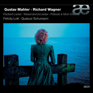 Wesendonck Lieder, WWV 91 - No.5, Träume