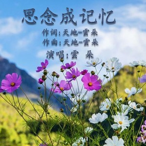 思念成记忆 (DJ版)