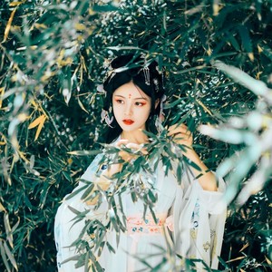 归来去兮封面