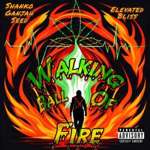 Walking Ball of Fire (feat. Elevated Bliss) [Explicit]