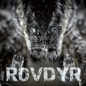 Rovdyr