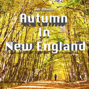 Autumn in New England