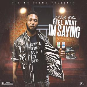 FEEL WHAT IM SAYING (Explicit)