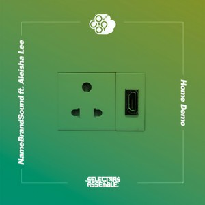 Home Demo[feat. Aleisha Lee] (Risa T Remix)