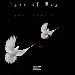 Type of Way (RHQ Tribute) [Explicit]