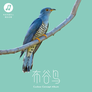 蜉蝣
