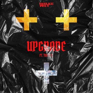 UPGRADE (Explicit)
