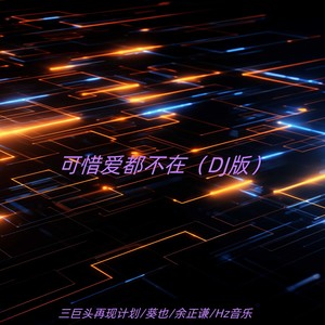 可惜爱都不在 (DJ版)