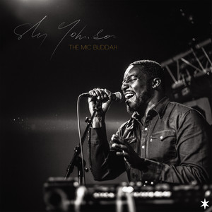 Sly Johnson - Les fleurs du mal