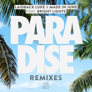 Laidback Luke - Paradise(feat. Bright Lights) (Sam F Remix)