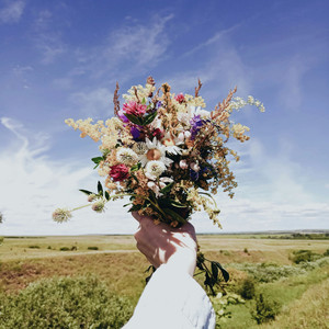 살랑살랑 봄바람 불어와 (Feat. 정소안) (轻轻吹来春风)