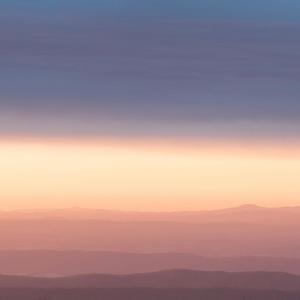 Young (feat. RKDavid)