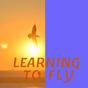 Learning to Fly