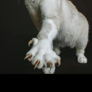 Mommy it's Halloween