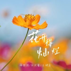 花开得灿烂