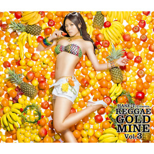 HASE-T presents REGGAE GOLD MINE Vol.3（24 Tracks Edition）