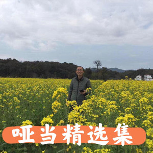 雨巷佳人