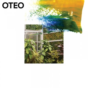 OTEO - Pink Ties