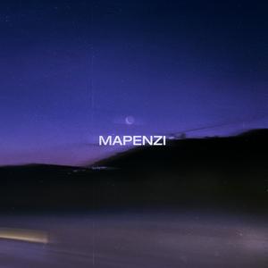 Mapenzi