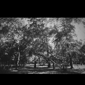 不可受困 不可磨灭