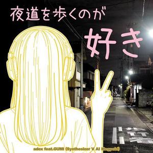 夜道を歩くのが好き